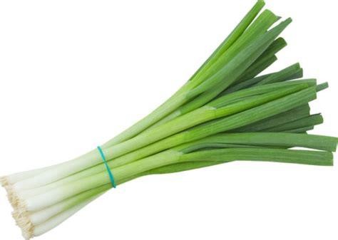 onion-green