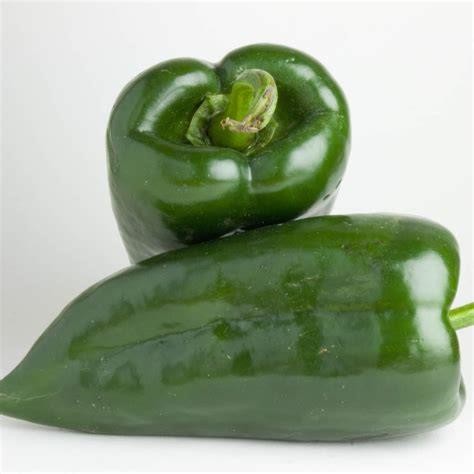 poblano-pepper